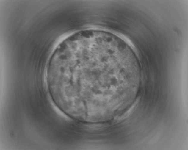 X0000113641247200910162030