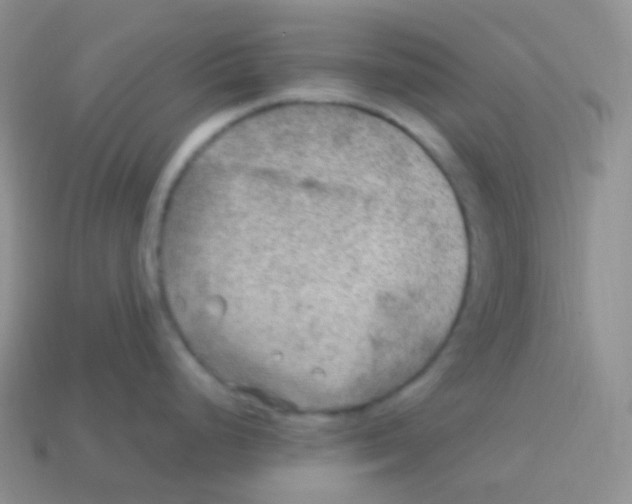 X0000113641248200910162030