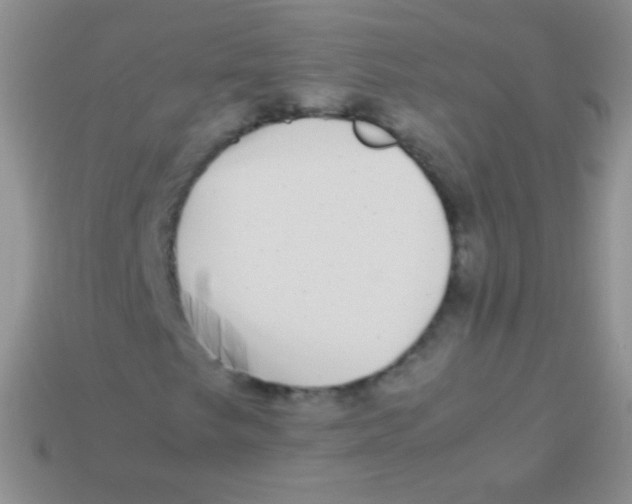 X0000113641249200910162030