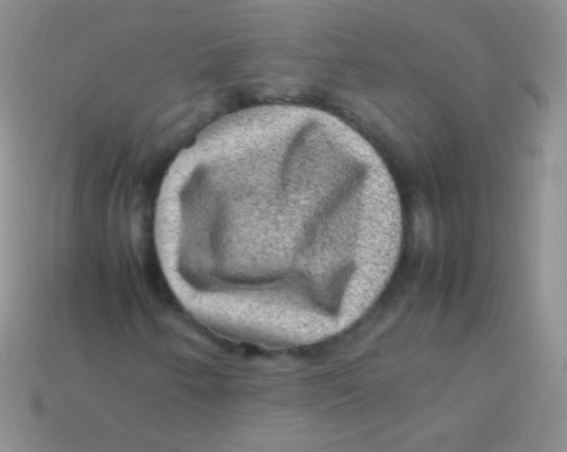 X0000113641250200910162030