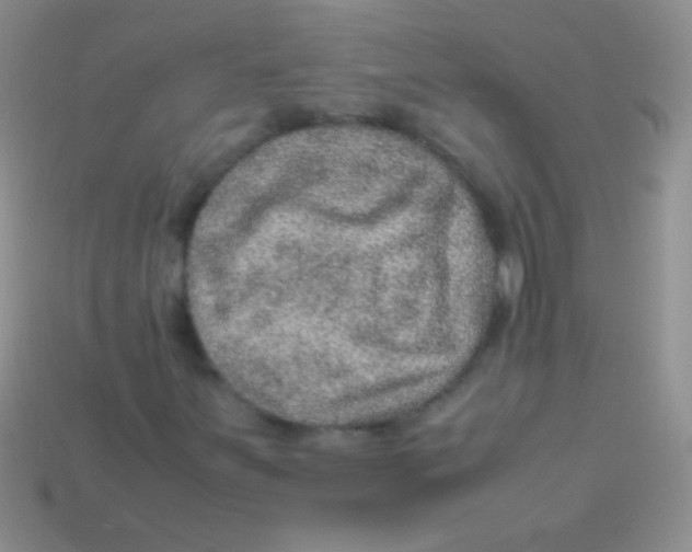 X0000113641251200910162030