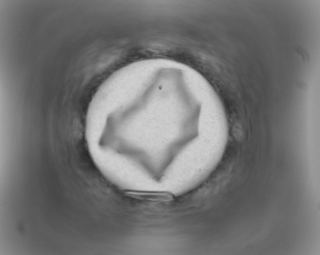 X0000113641253200910162030