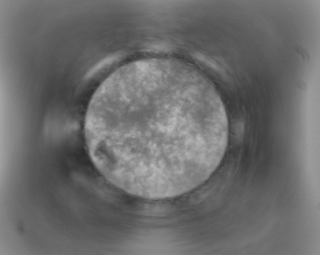 X0000113641254200910162030