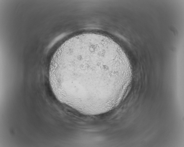 X0000113641255200910162030