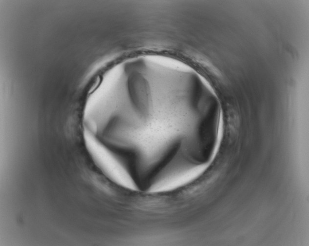 X0000113641256200910162030