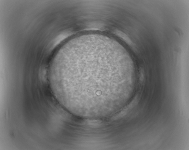 X0000113641258200910162030