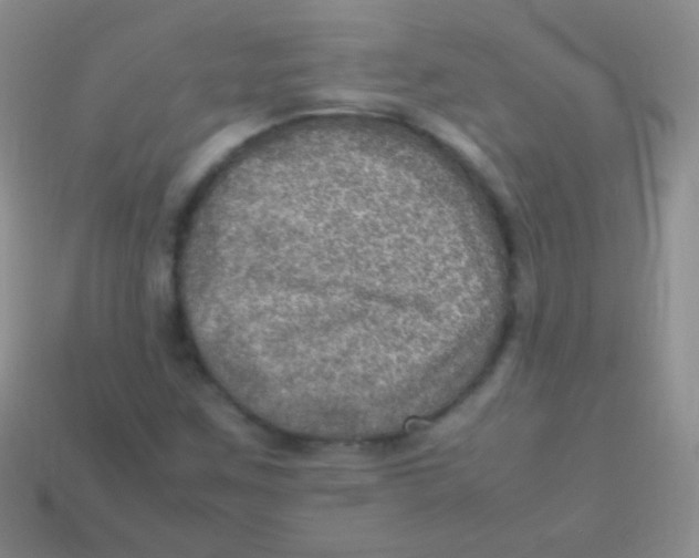 X0000113641259200910162030