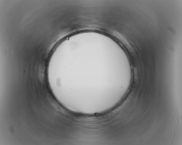 X0000113641260200910162030