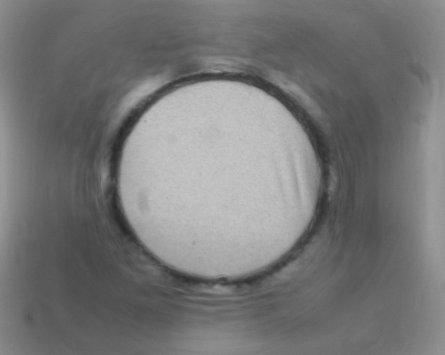 X0000113641261200910162030