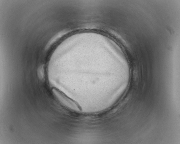 X0000113641262200910162030