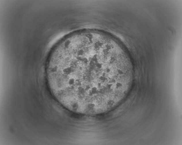 X0000113641263200910162030