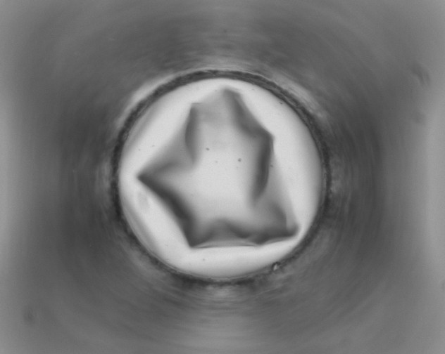 X0000113641264200910162029