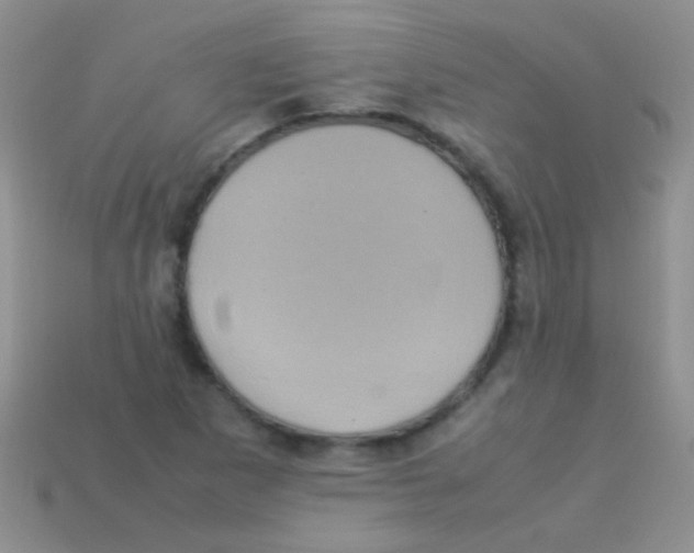 X0000113641265200910162029