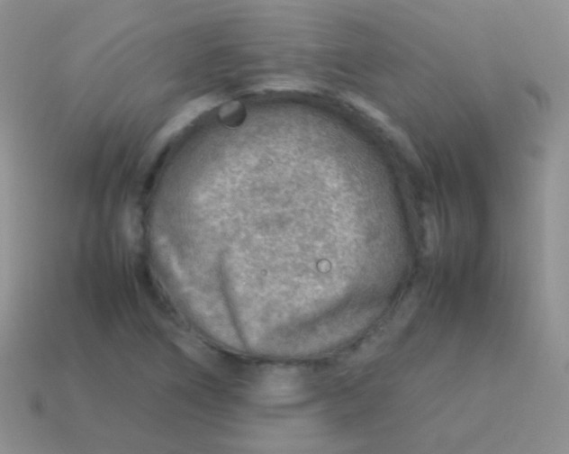 X0000113641266200910162029