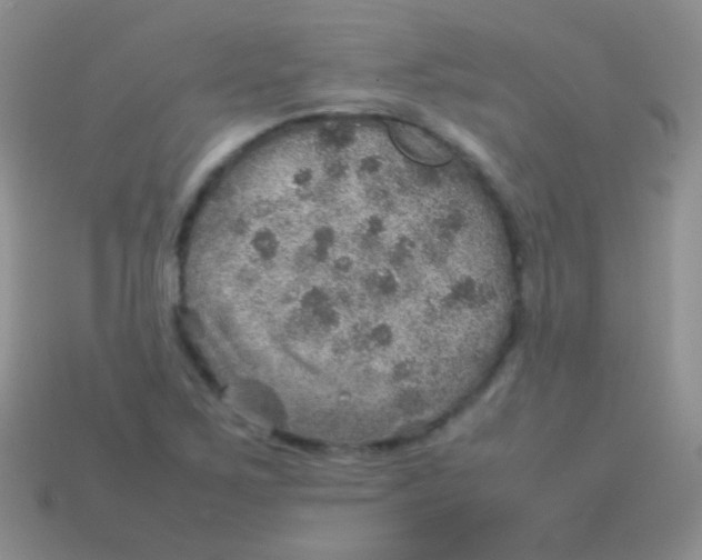 X0000113641267200910162029