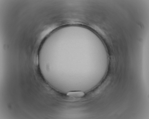 X0000113641269200910162029