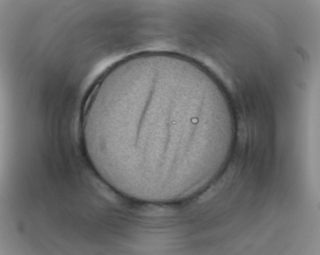 X0000113641270200910162029