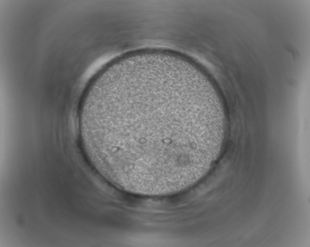 X0000113641271200910162029