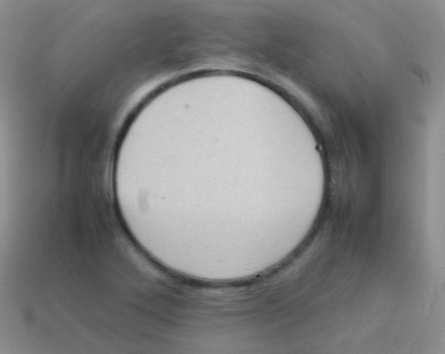 X0000113641272200910162029