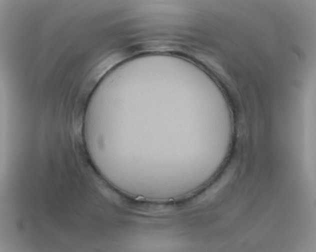 X0000113641273200910162029