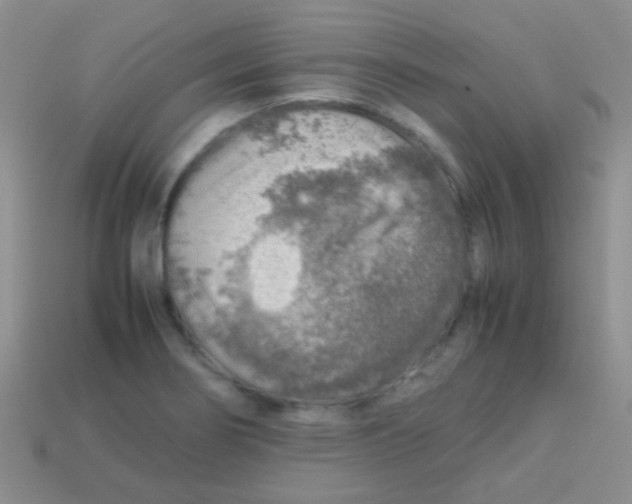 X0000113641274200910162029