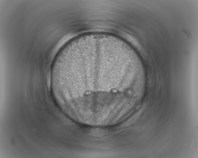 X0000113641275200910162029