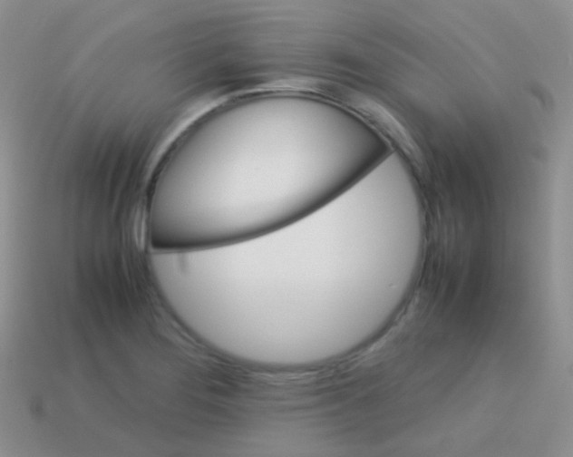 X0000113641276200910162029