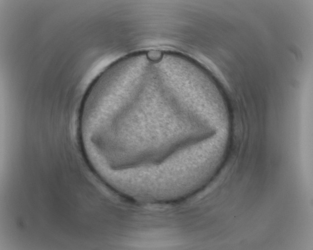 X0000113641277200910162029