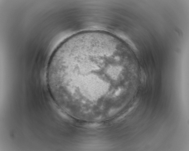 X0000113641278200910162029