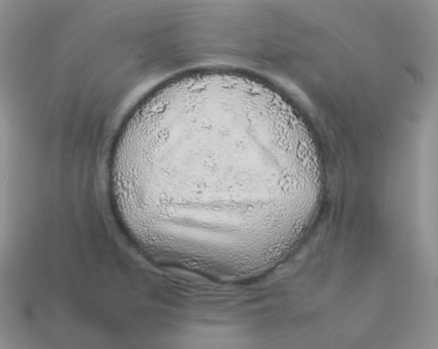 X0000113641279200910162029