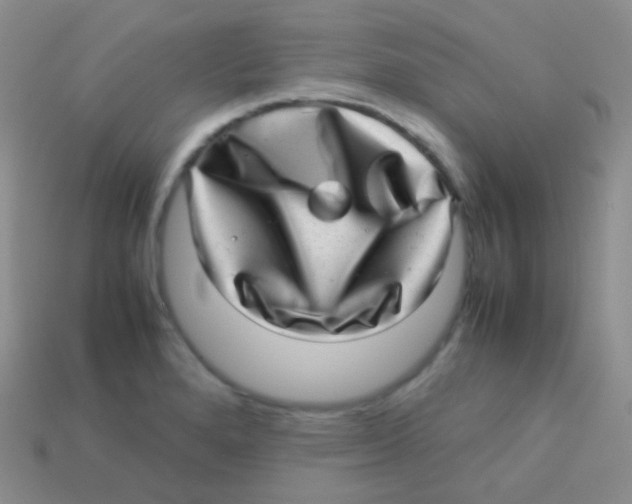 X0000113641280200910162029