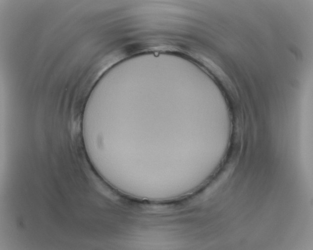 X0000113641281200910162029