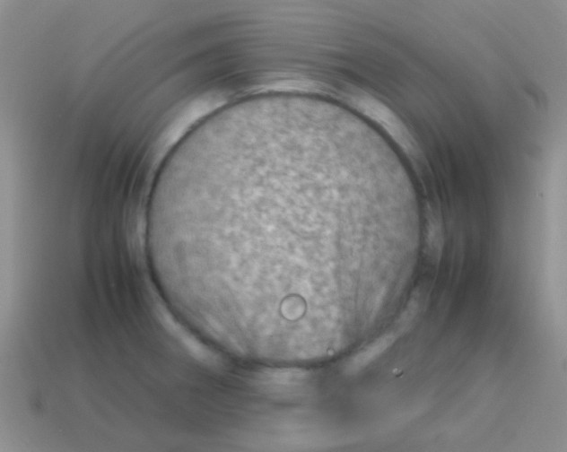 X0000113641282200910162029