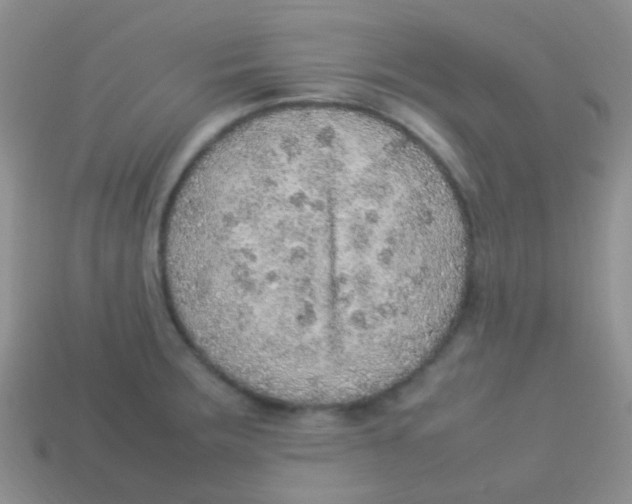 X0000113641283200910162029