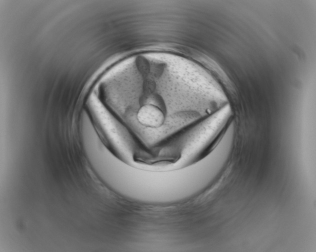 X0000113641284200910162029