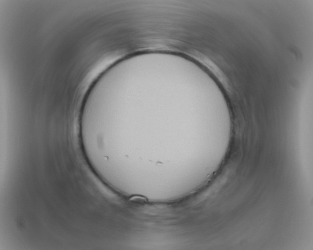 X0000113641285200910162029