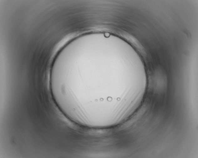 X0000113641286200910162029