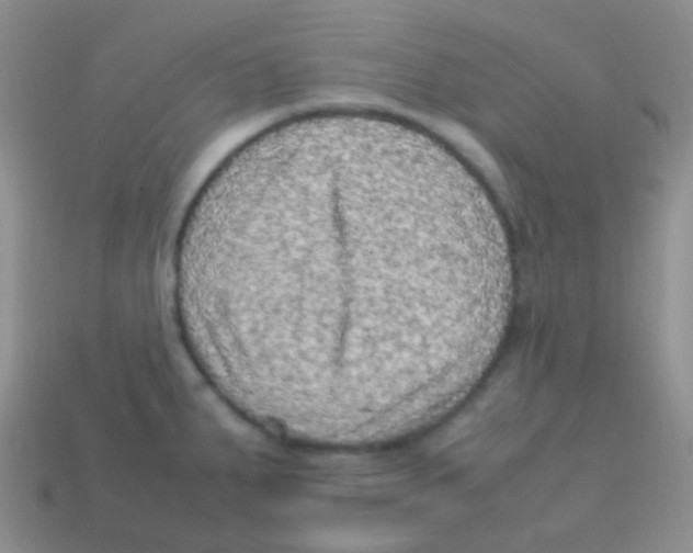 X0000113641287200910162029