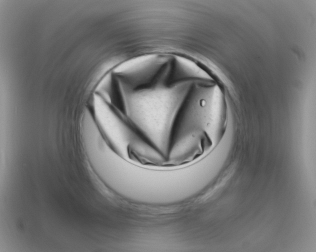 X0000113641289200910162029