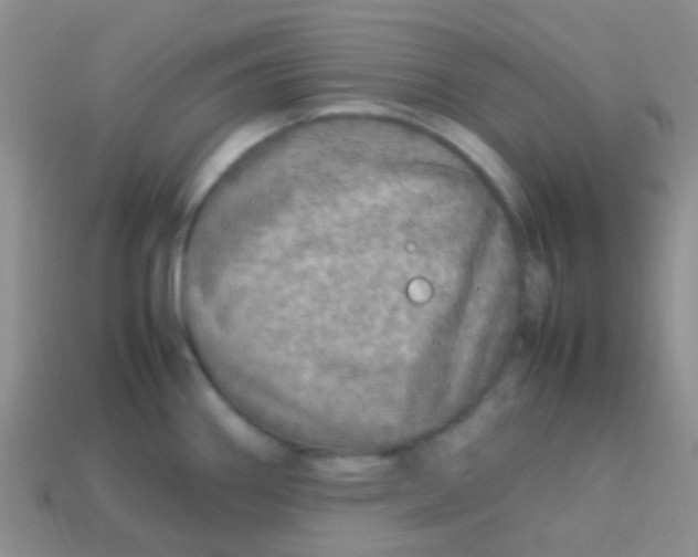 X0000113641290200910162029