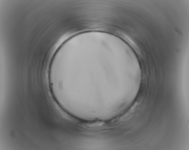 X0000113641291200910162029