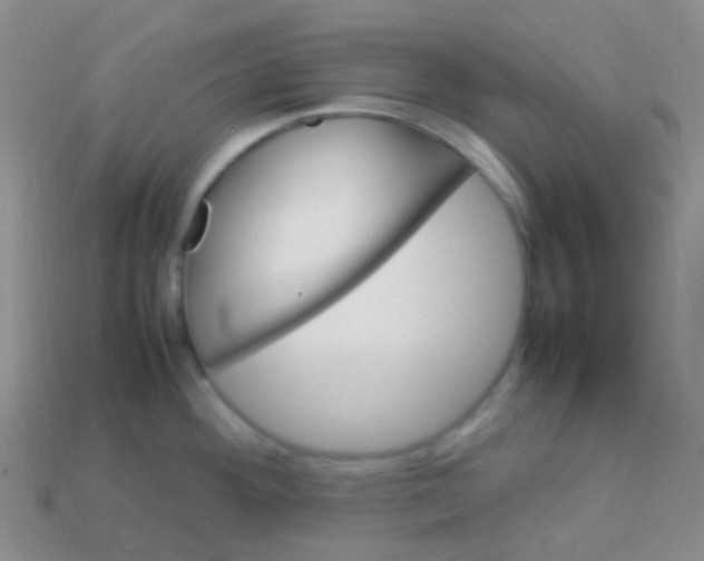 X0000113641292200910162029