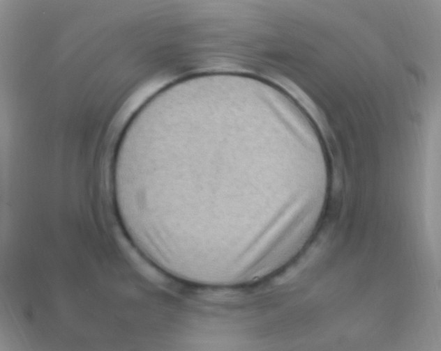 X0000113641293200910162029