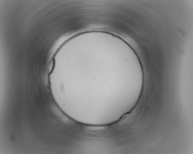 X0000113641296200910162029