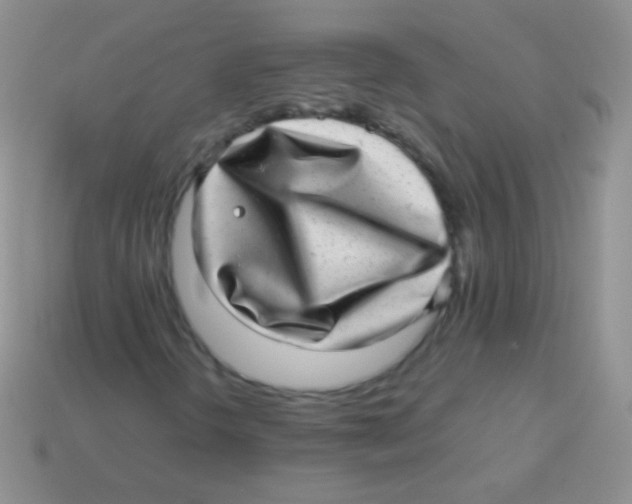 X0000113641298200910162028