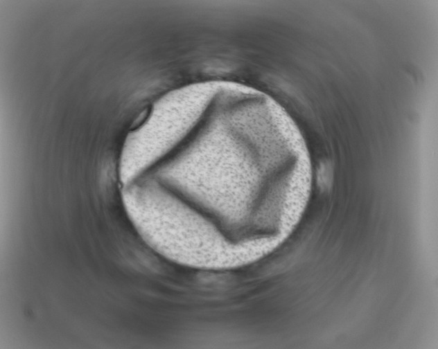 X0000113641299200910162028