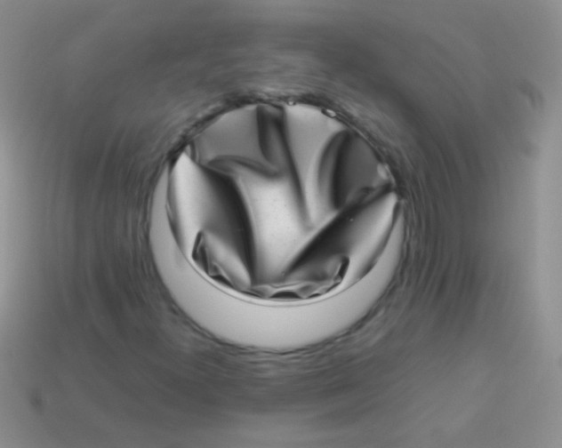 X0000113641300200910162028