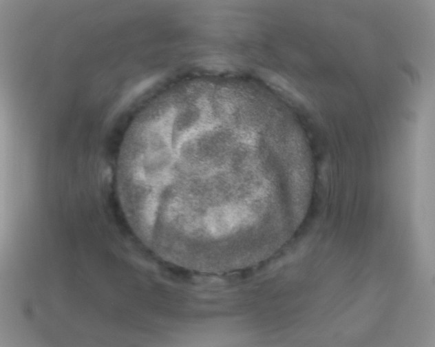 X0000113641302200910162028