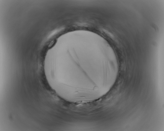 X0000113641303200910162028