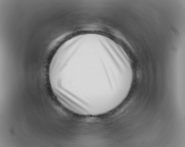 X0000113641304200910162028